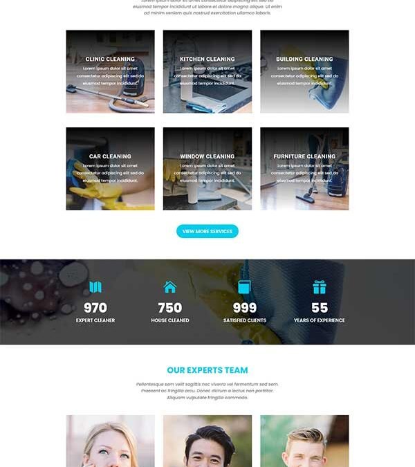 Divi Cleaning Services Layout