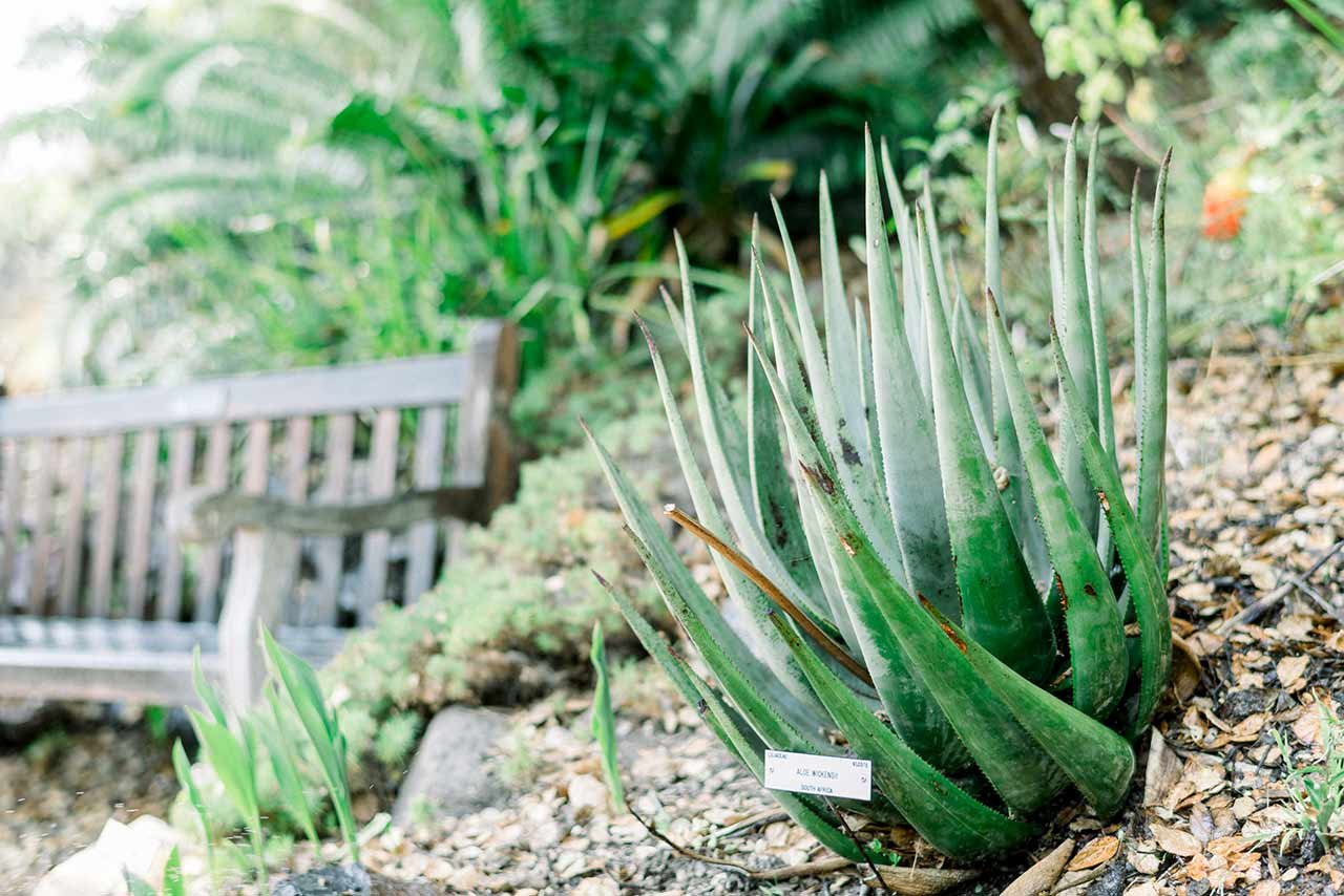 divi-gardener-services-layout-3